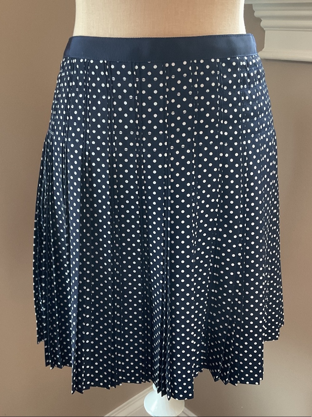 J. Crew Navy and White Polka Dot Pleated Skirt